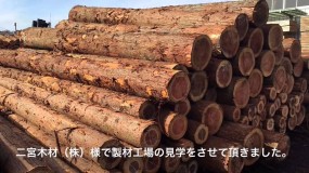 木材（伐採・製材・乾燥・試験）
