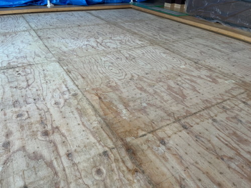 既存畳の取り外し後