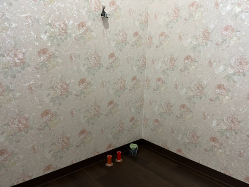 配管改修・内装工事（クロス・クッションフロア等）